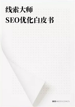 seo master线索大师 优化网站